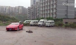 彬彬车行最新爆料,揭秘汽车行业最新动态与趋势